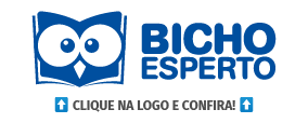 Bicho Esperto